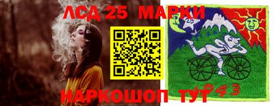 крисы Новодвинск