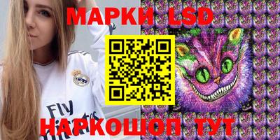спиды Новозыбков