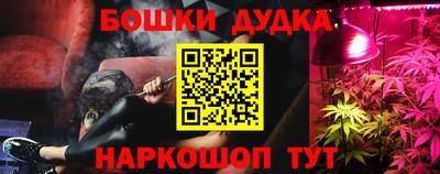 спиды Новозыбков