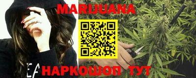 крисы Новодвинск