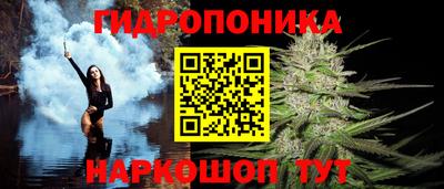 крисы Новодвинск