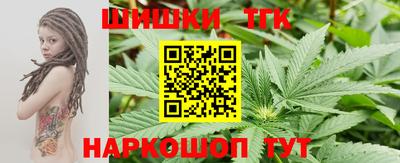 крисы Новодвинск