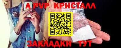 крисы Новодвинск