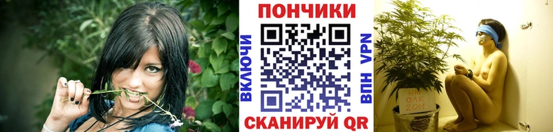 Бошки Шишки конопля  где найти   Ставрополь 
